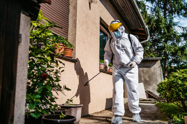 Best Best Pest Control Companies  in Hooper, UT