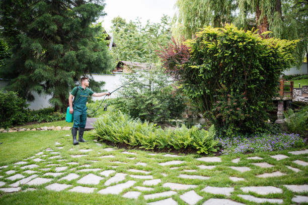Best Wasp Removal Services  in Hooper, UT