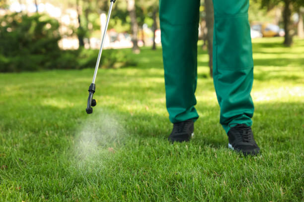 Best Pest Prevention Services  in Hooper, UT