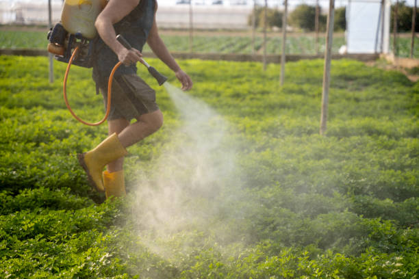 Best Pest Control Near Me  in Hooper, UT