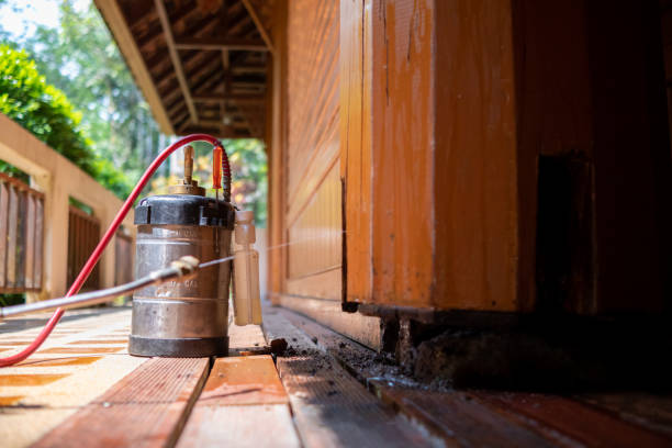 Best Mosquito Control Services  in Hooper, UT