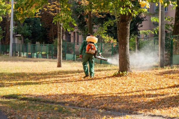Best Affordable Pest Control Services  in Hooper, UT