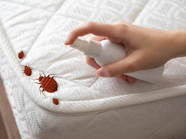 Best Mosquito Control Services  in Hooper, UT
