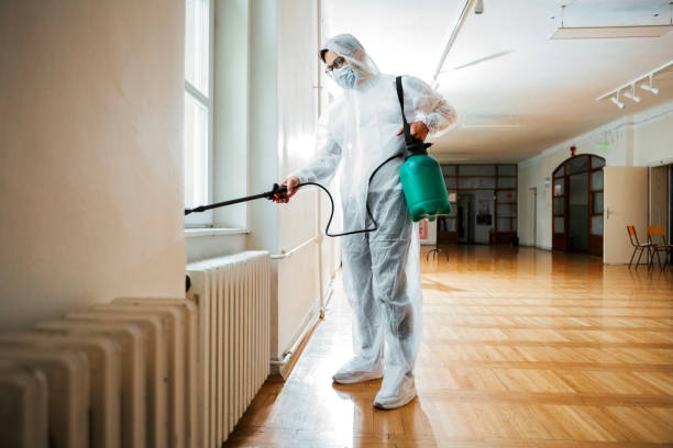 Best Pest Control Near Me  in Hooper, UT
